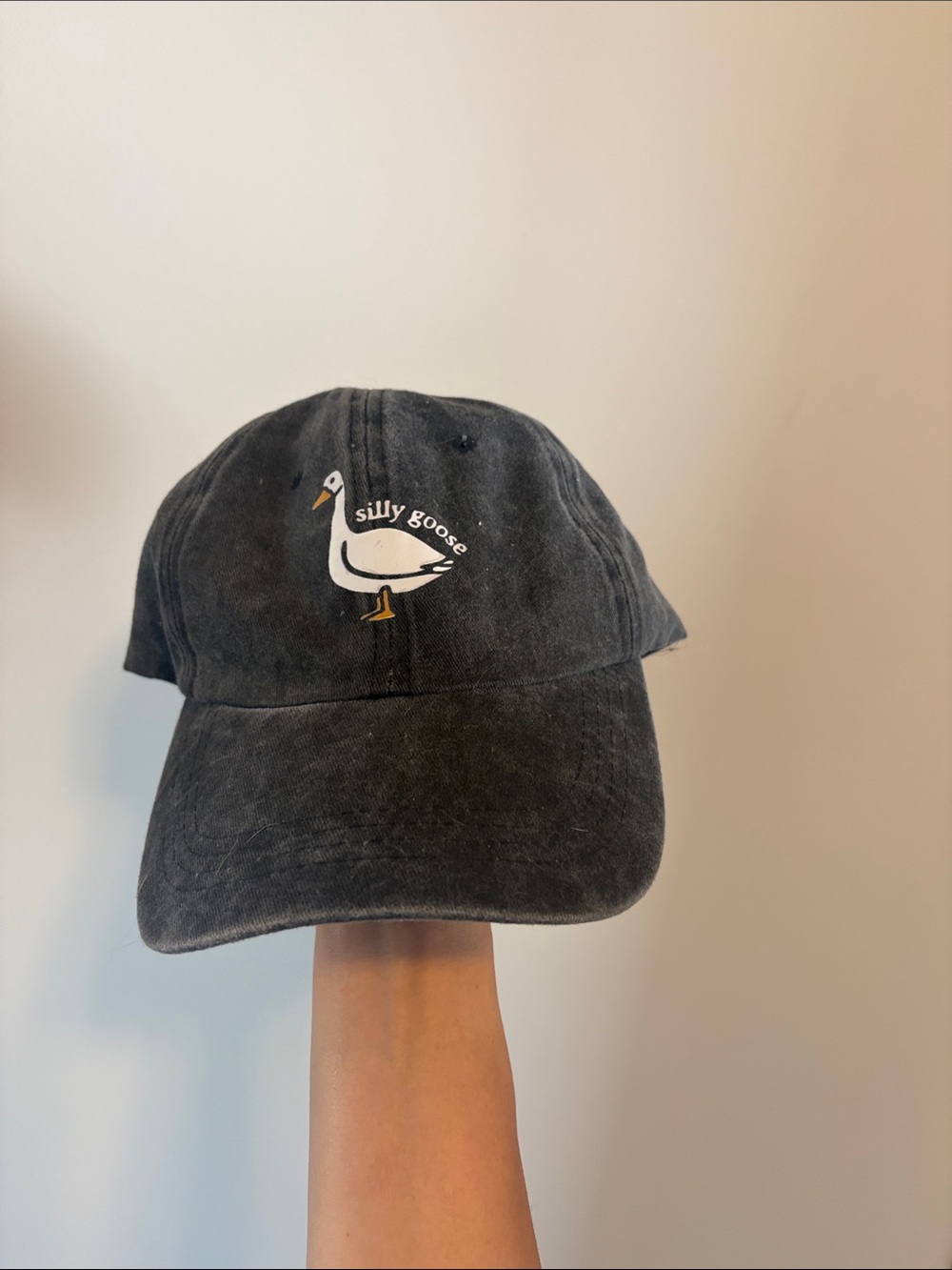 Silly Goose Distressed Black Baseball Cap